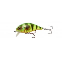 Savage Gear 3D Goby Crank SR 5cm 6.5g Tigre De Fuego Flotante