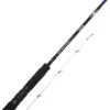 Savage Gear SGS6 Tenya Juego BC 2.51m F 14-65g